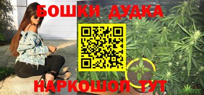 прущие крисы Бердск