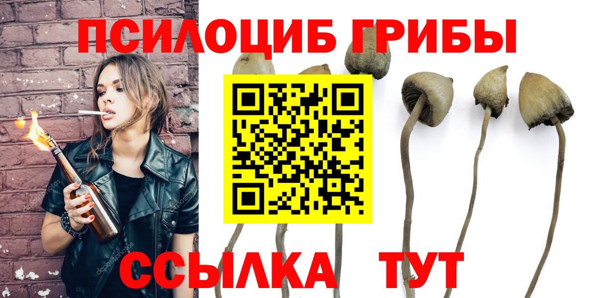 Псилоцибиновые грибы MAGIC MUSHROOMS  Вход с VPN  Белая Калитва 